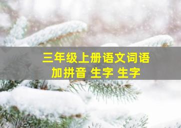 三年级上册语文词语加拼音 生字 生字